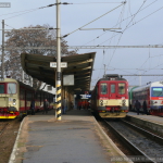 842 002-8 a 014-3, DKV Brno, Břeclav, 06.12.2007